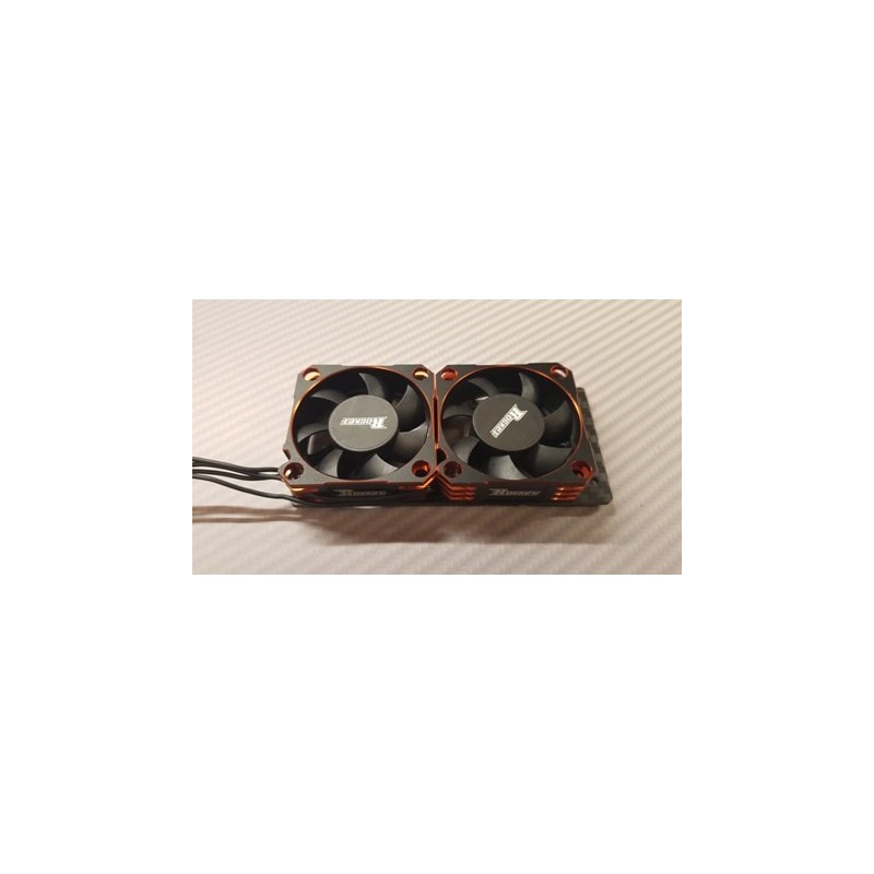 2 ventilateurs sur le support carbone 2 ventilateurs sur le support carbone